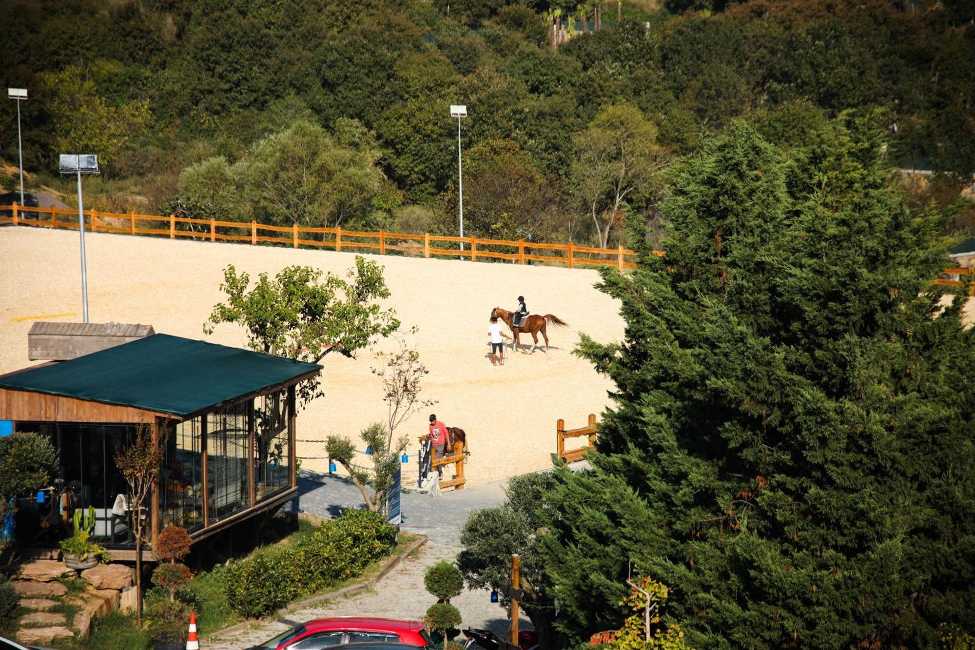 Mavi At Hotel Blue Horse Gumusdere 외부 사진